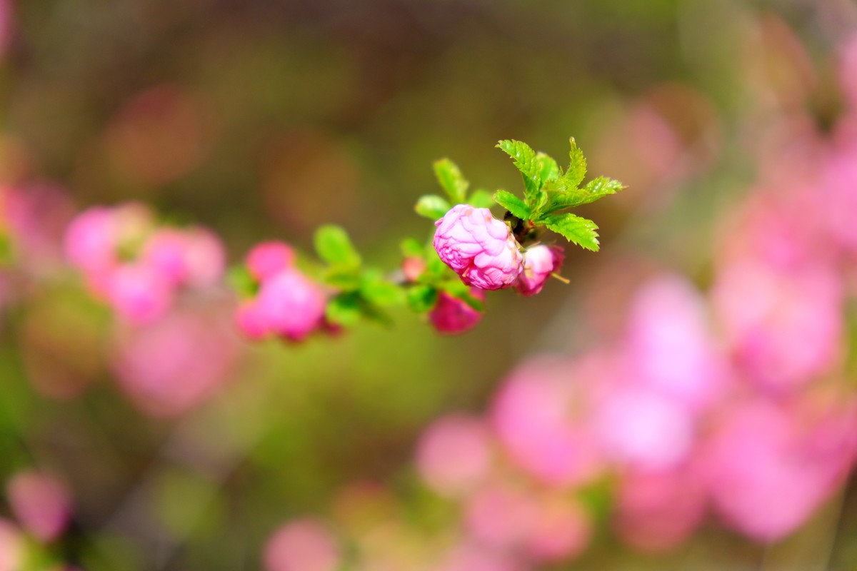 骑行路边随手拍