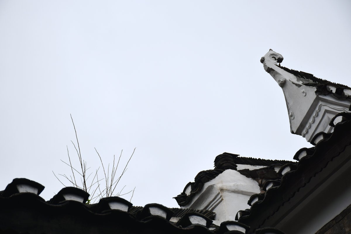 2023国庆 湘桂黔（35）德凤镇