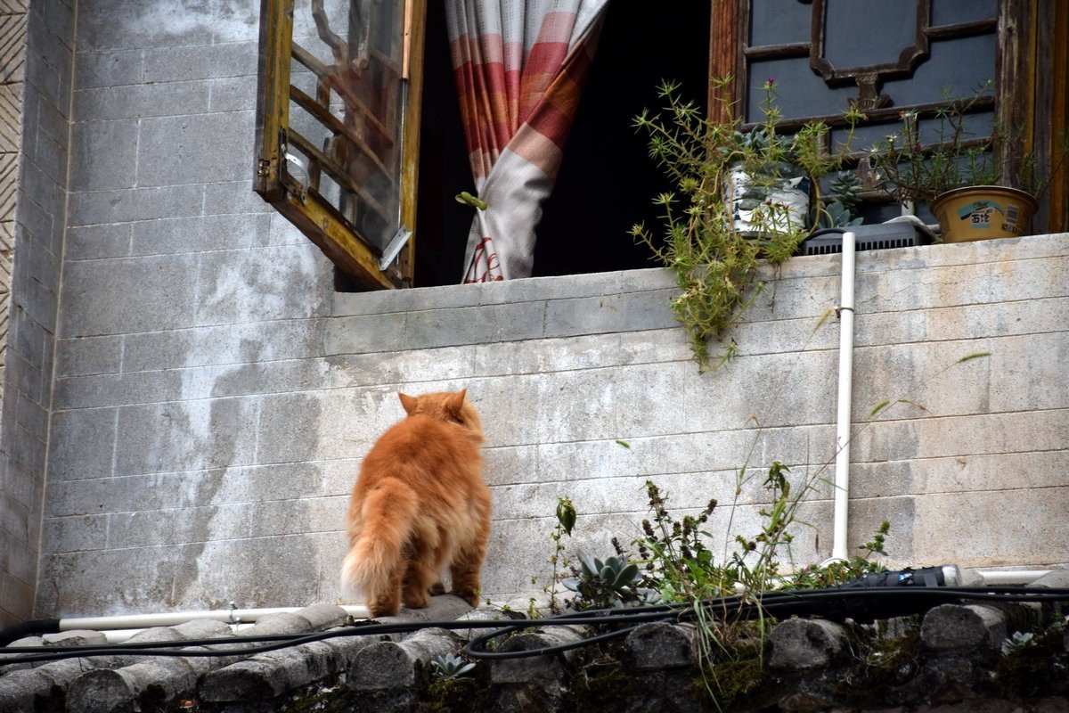 2023国庆 湘桂黔（35）德凤镇