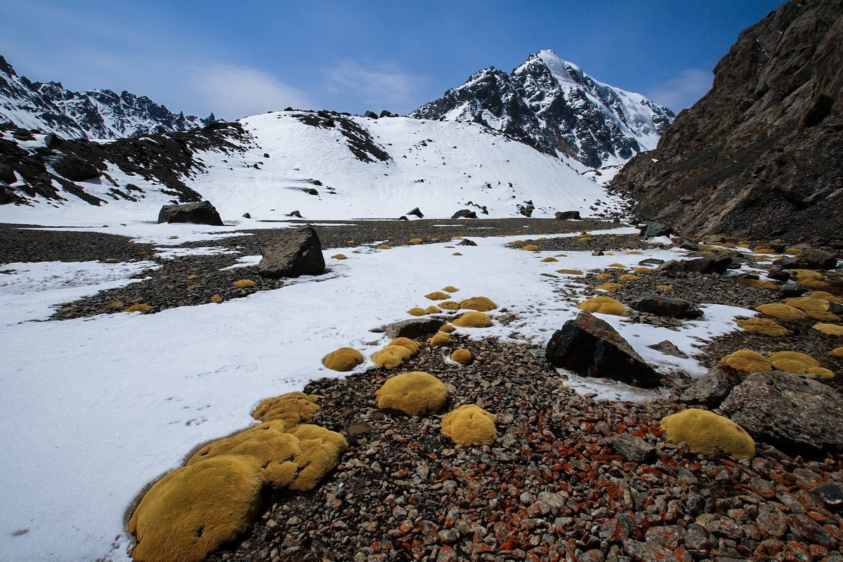 《大地 -雪山》