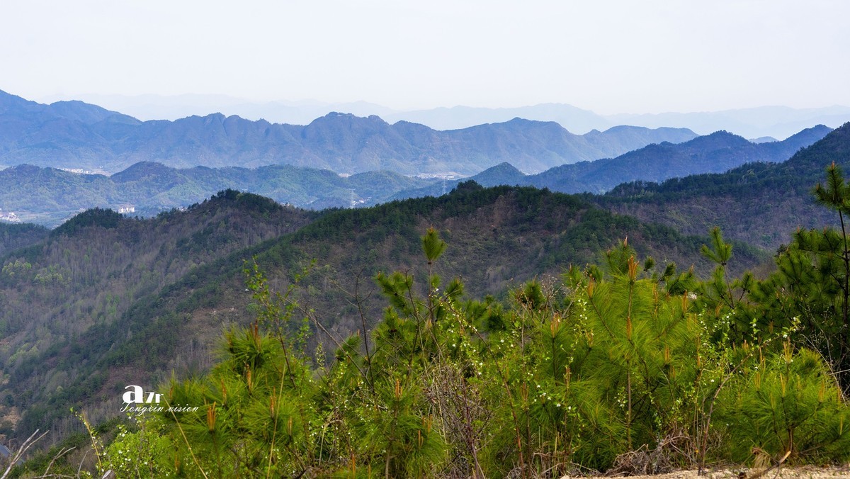 三月下江南——东阳天山村（11）