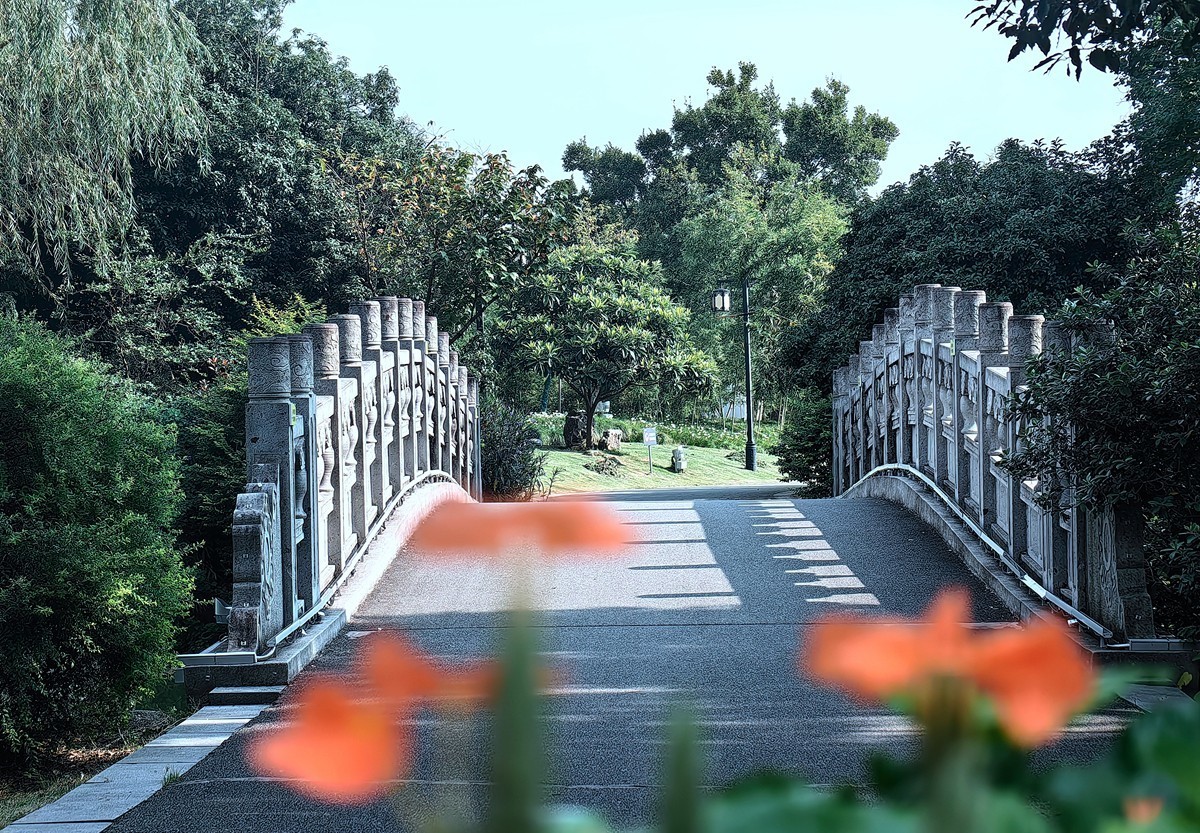 2024，宁波植物园秋拍之四