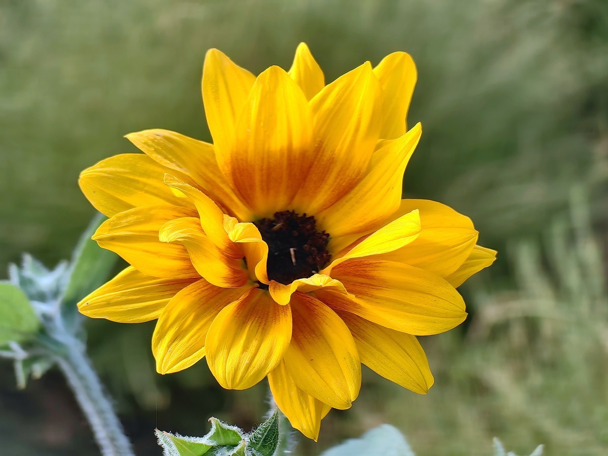 2024，宁波植物园秋拍之四