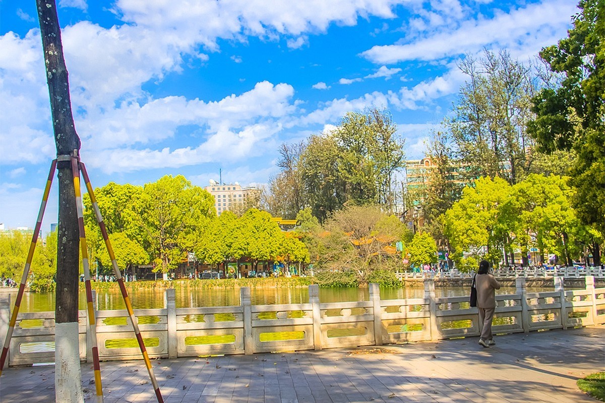 2024-11-05昆明翠湖公园（五）