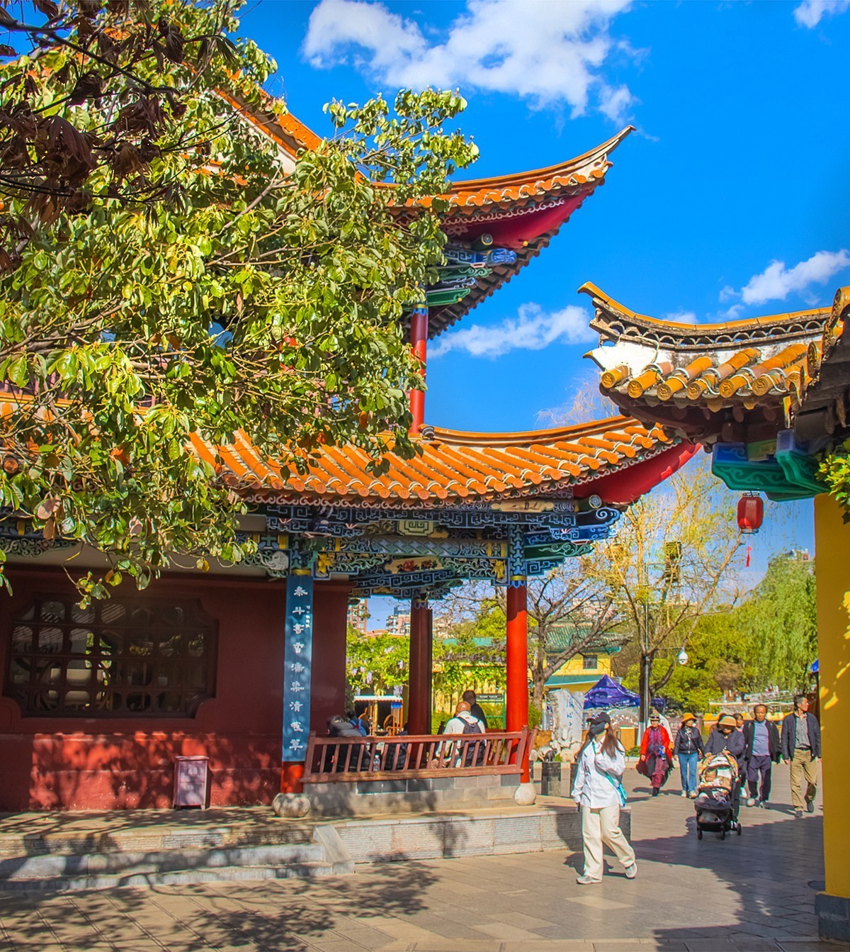 2024-11-05昆明翠湖公园（五）