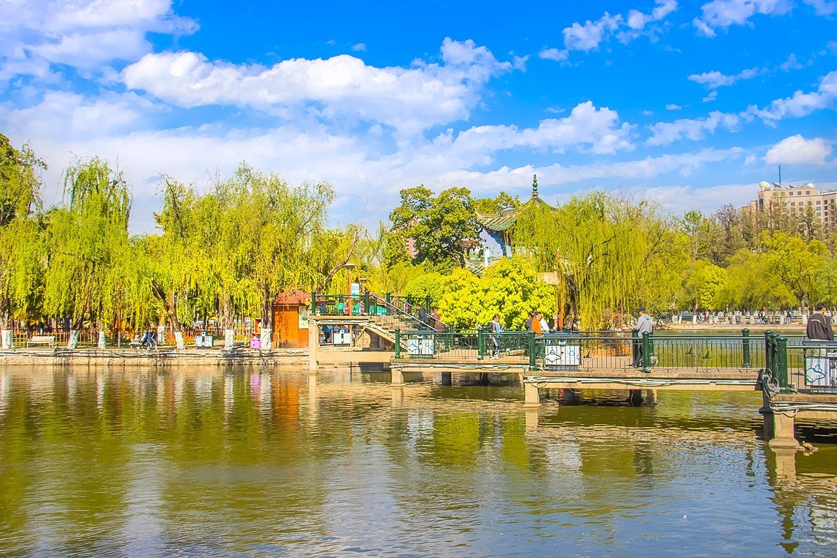 2024-11-05昆明翠湖公园（五）