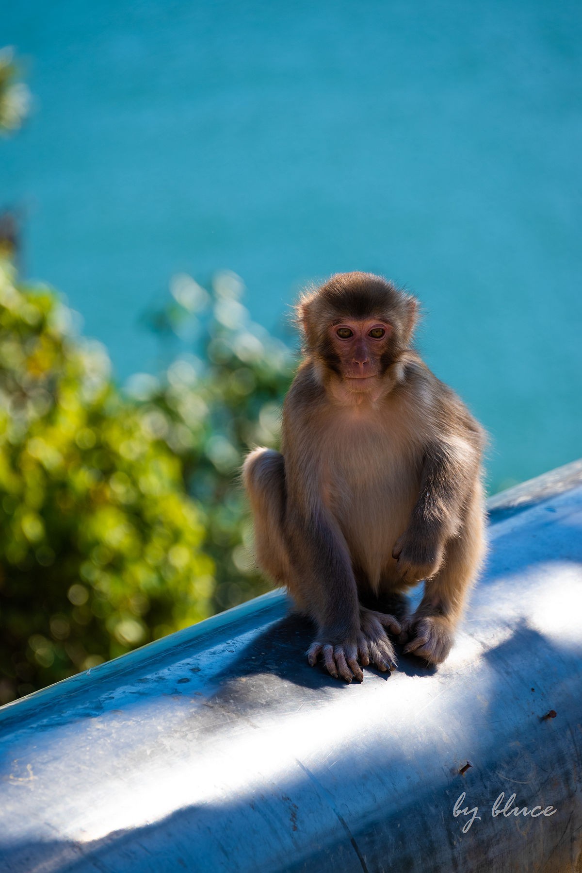 【徽州行】太平湖游拍（下）