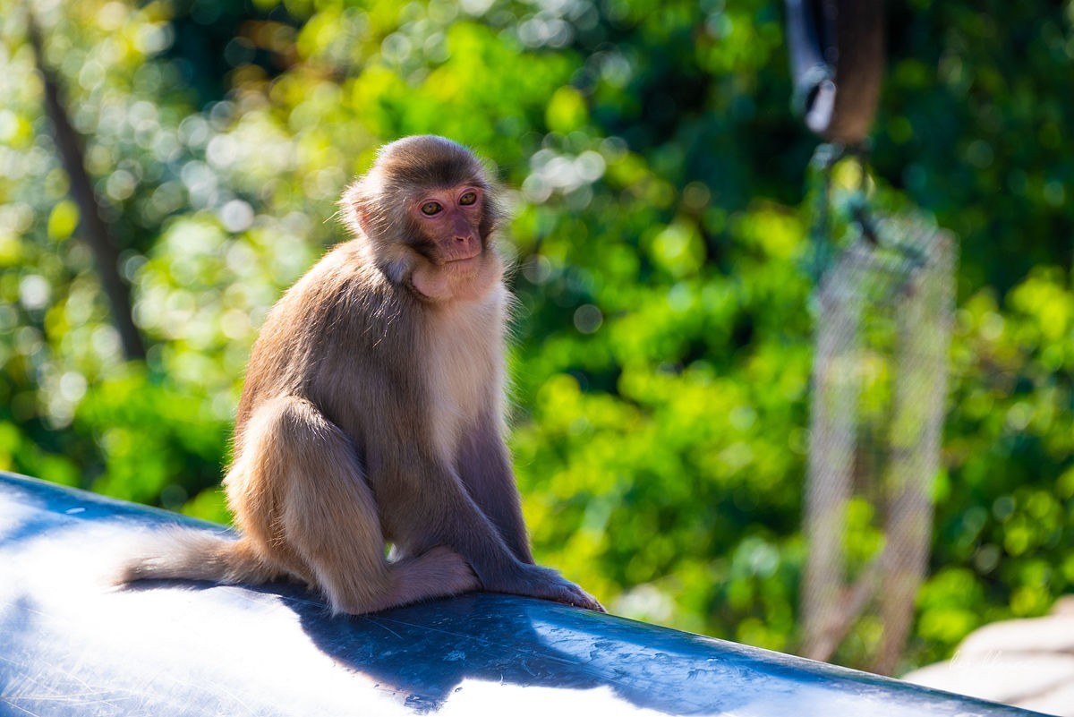 【徽州行】太平湖游拍（下）