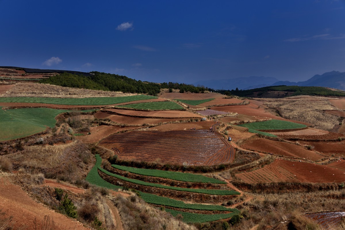 大地的调色板——东川红土地【3】