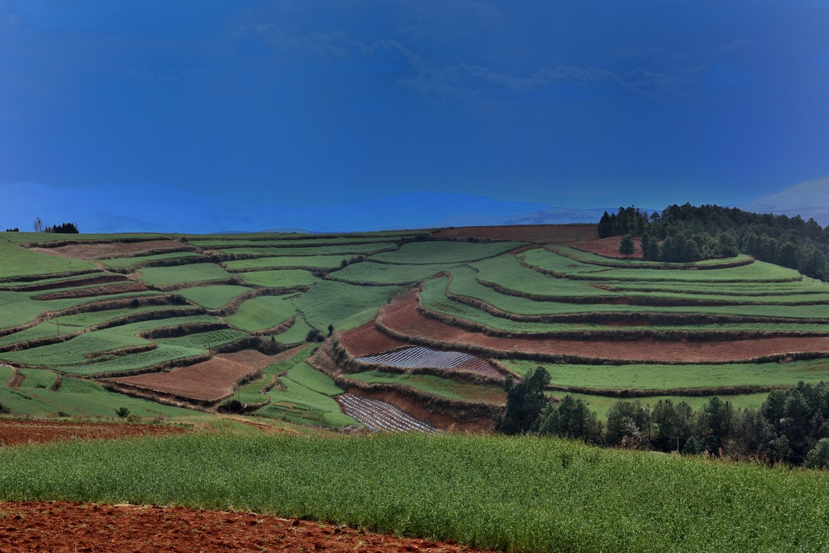 大地的调色板——东川红土地【3】