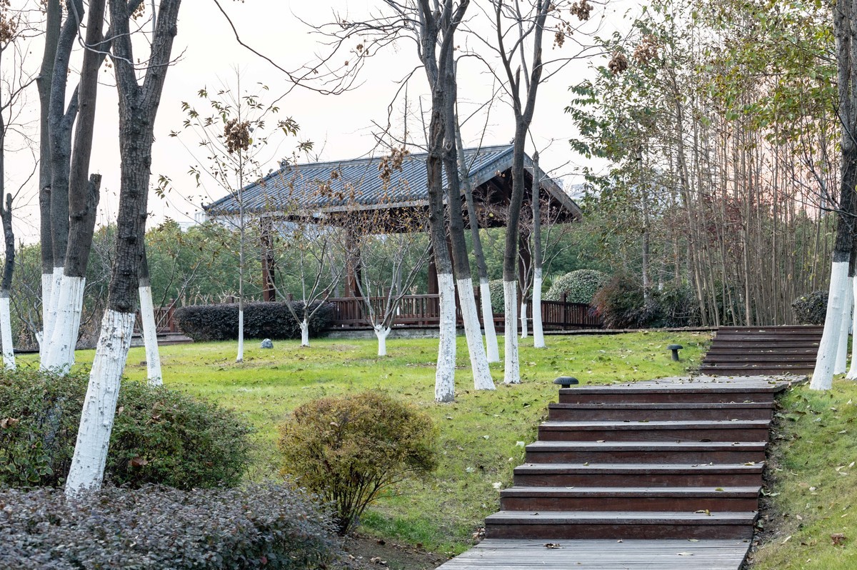 庐州印象（428）冬季天鹅湖