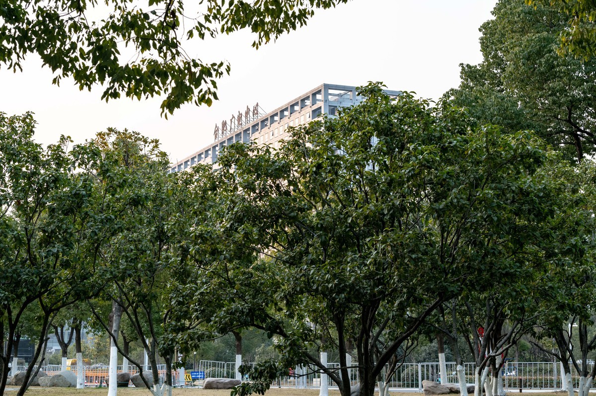 庐州印象（428）冬季天鹅湖