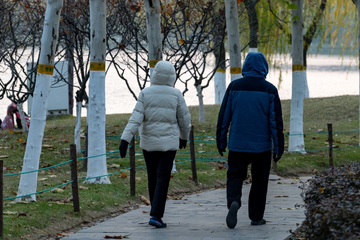 庐州印象（428）冬季天鹅湖