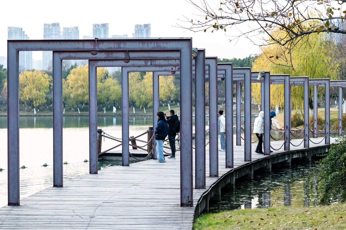 庐州印象（428）冬季天鹅湖