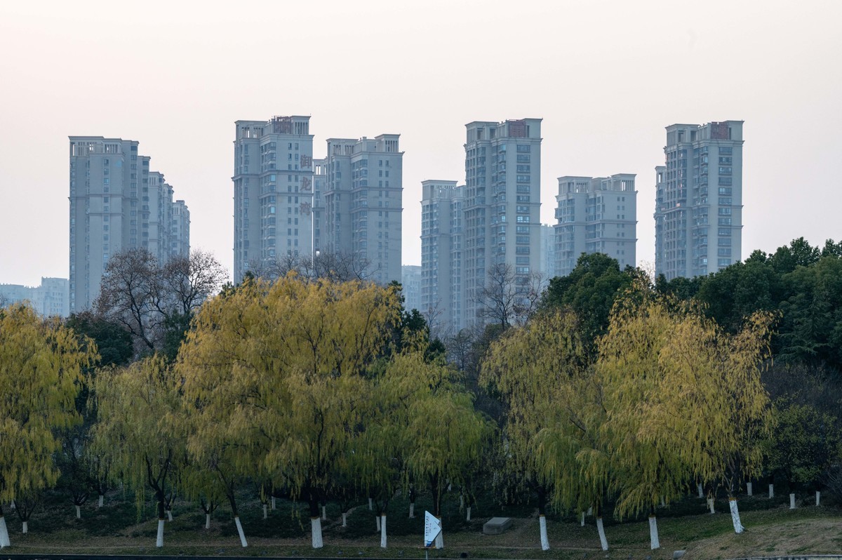 庐州印象（428）冬季天鹅湖