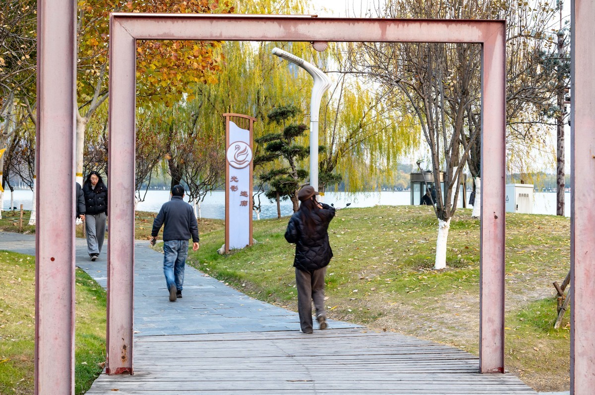 庐州印象（428）冬季天鹅湖