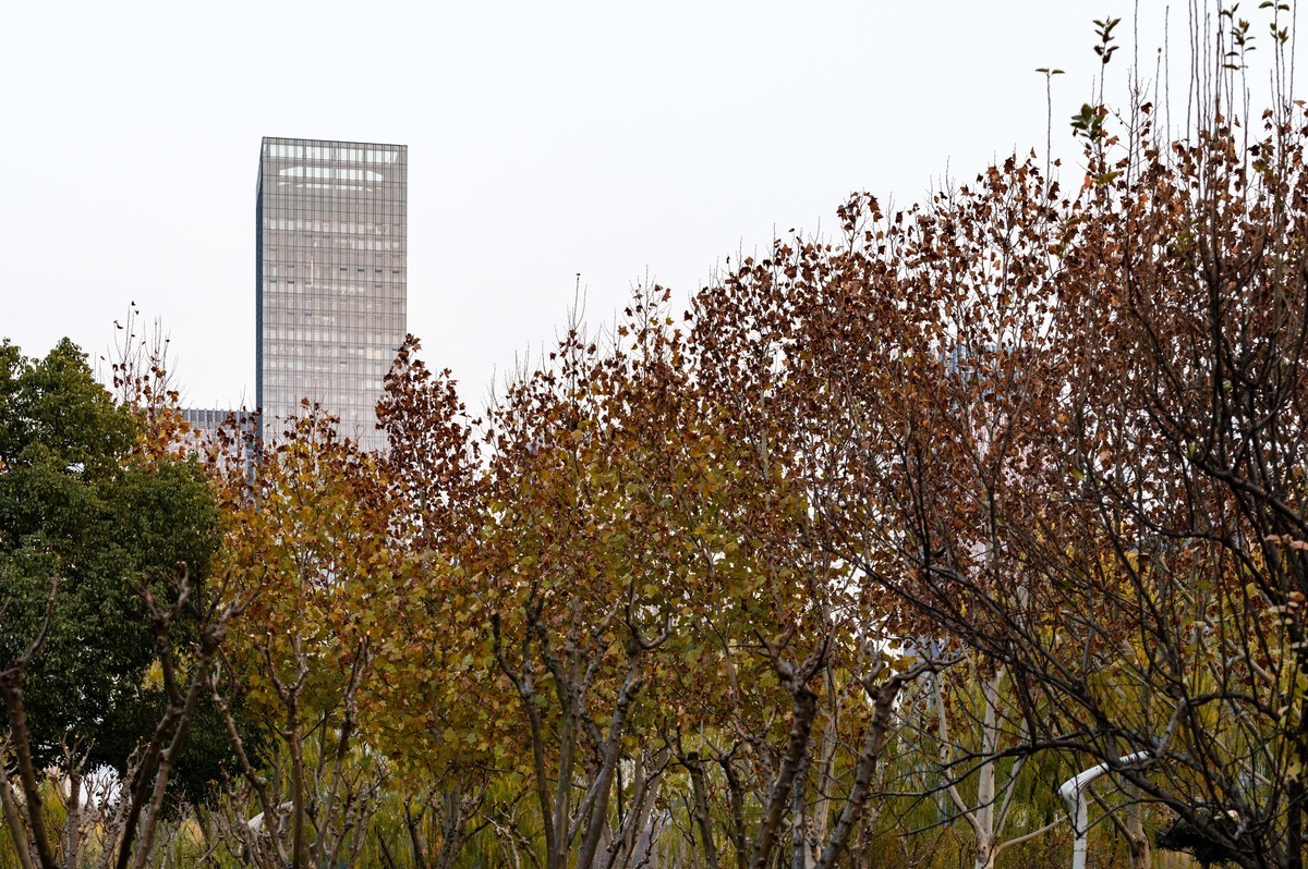 庐州印象（428）冬季天鹅湖