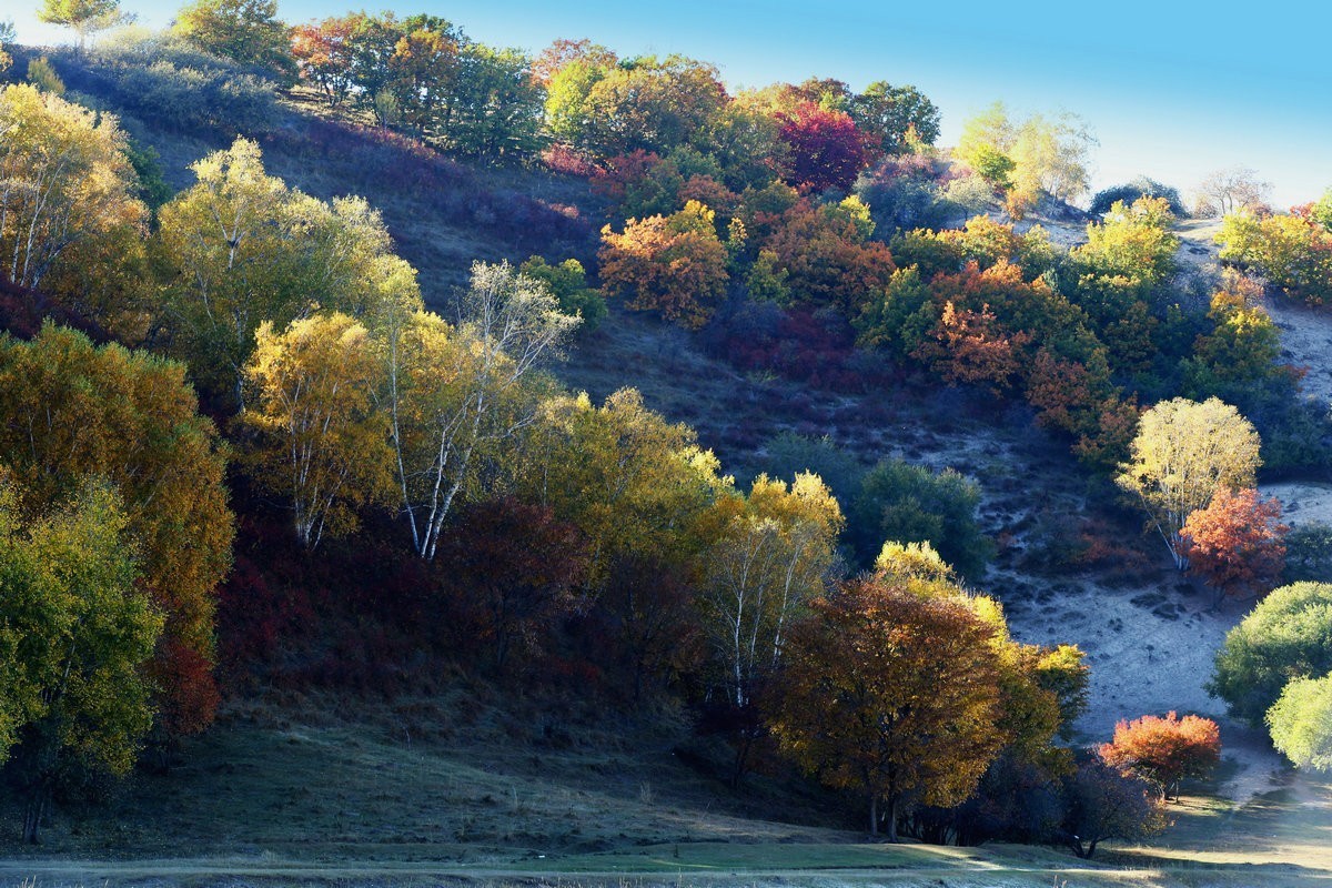 内蒙乌兰布统坝上盘龙大峡谷（一）