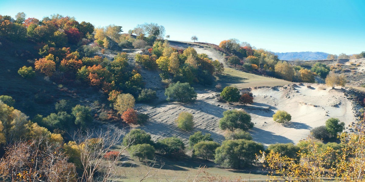 内蒙乌兰布统坝上盘龙大峡谷（一）