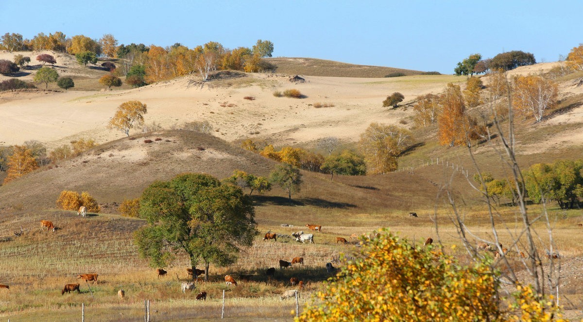 内蒙乌兰布统坝上盘龙大峡谷（一）