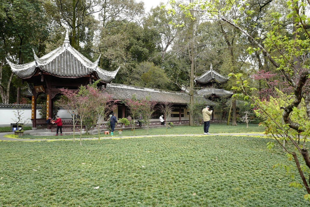 成都之行——杜莆草堂随拍（4）