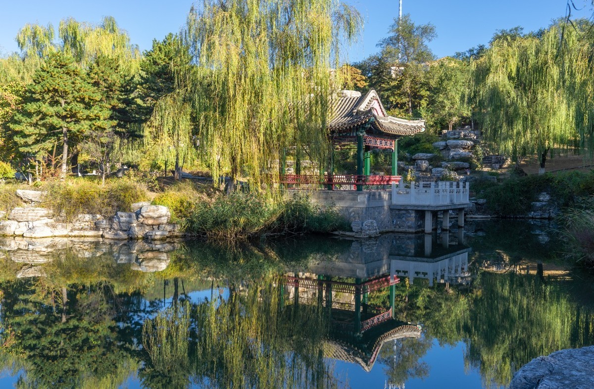 秋意渐浓（续5）