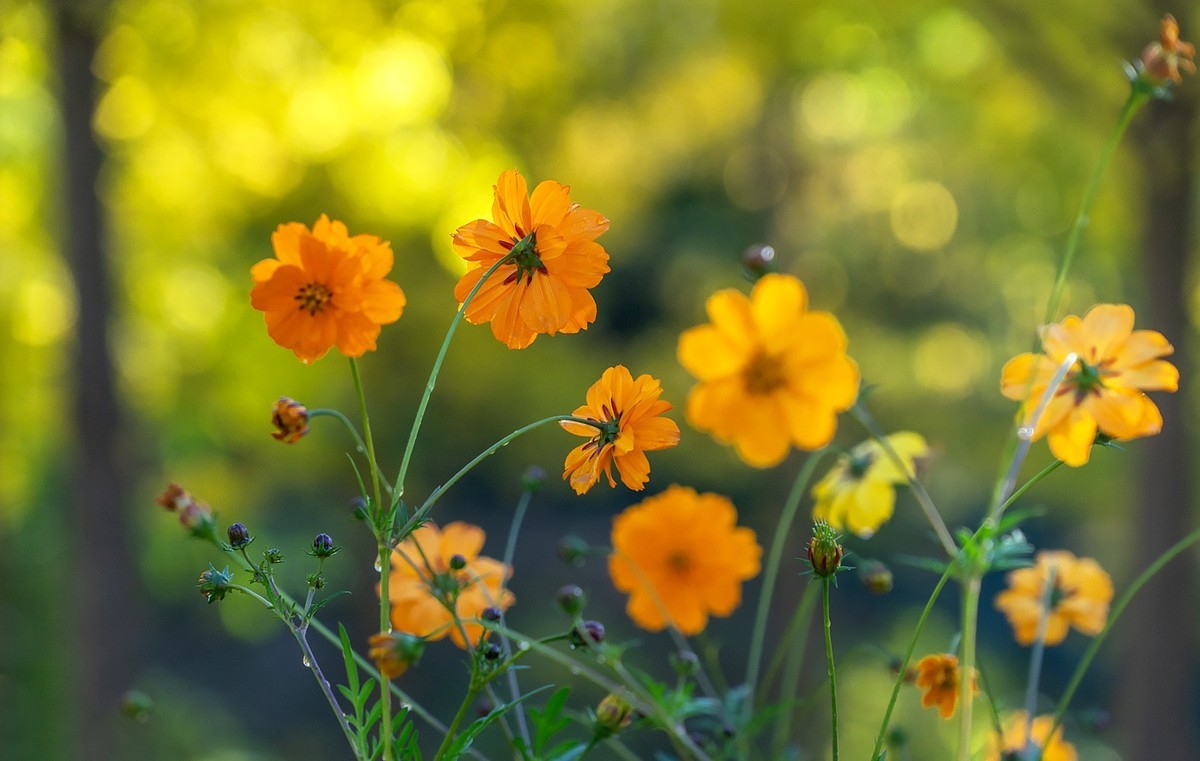 秋意渐浓（续5）