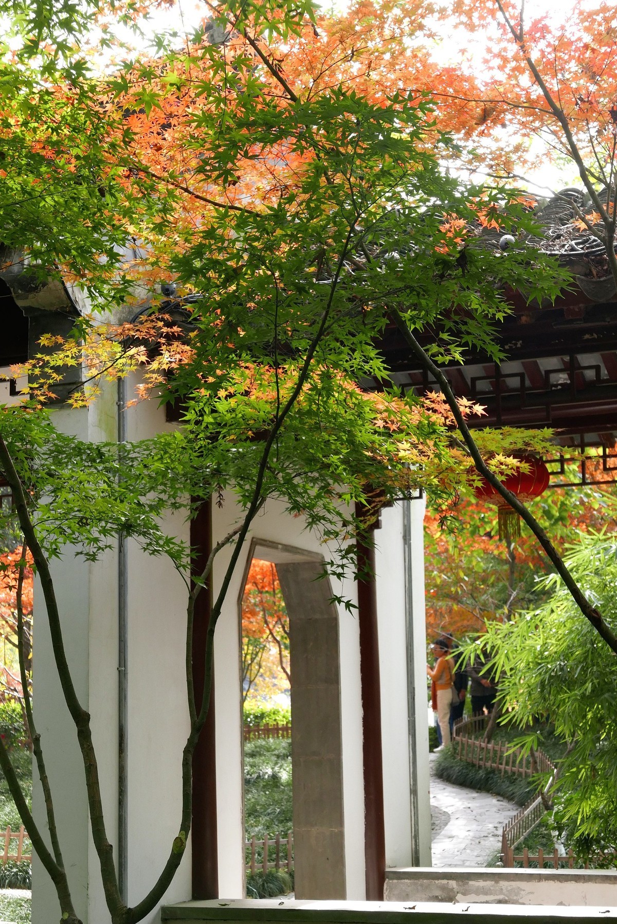 南京栖霞山秋色