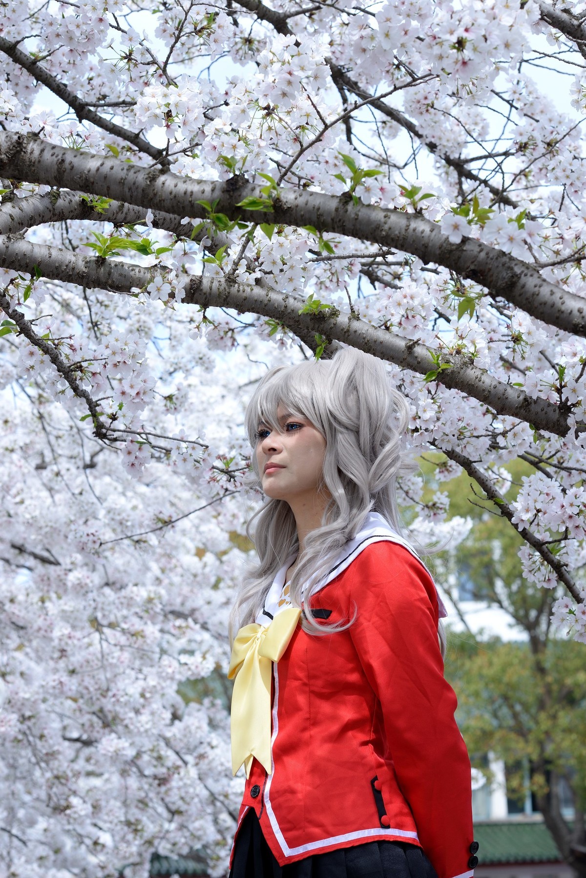花美人美