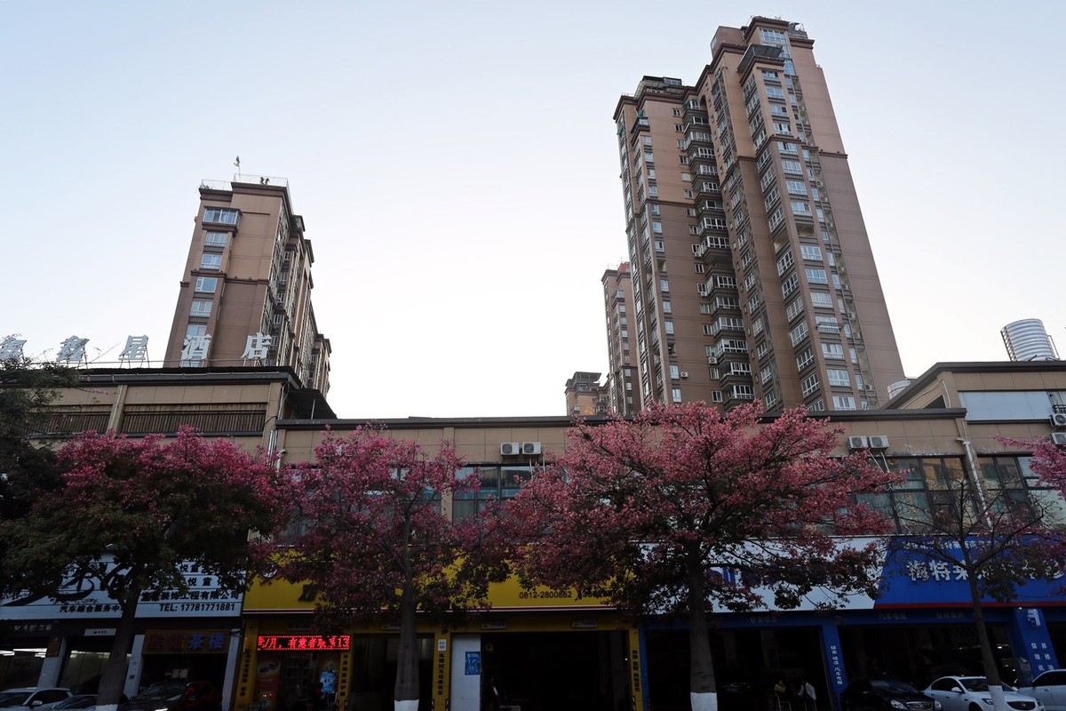 春花冬开的城市风景——攀枝花市