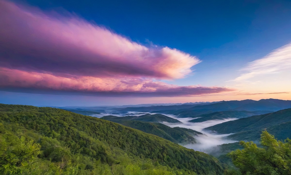 大自然的神奇魅力