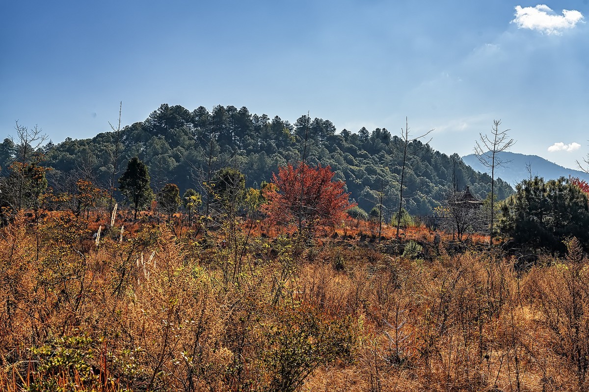 腾冲火山地质公园