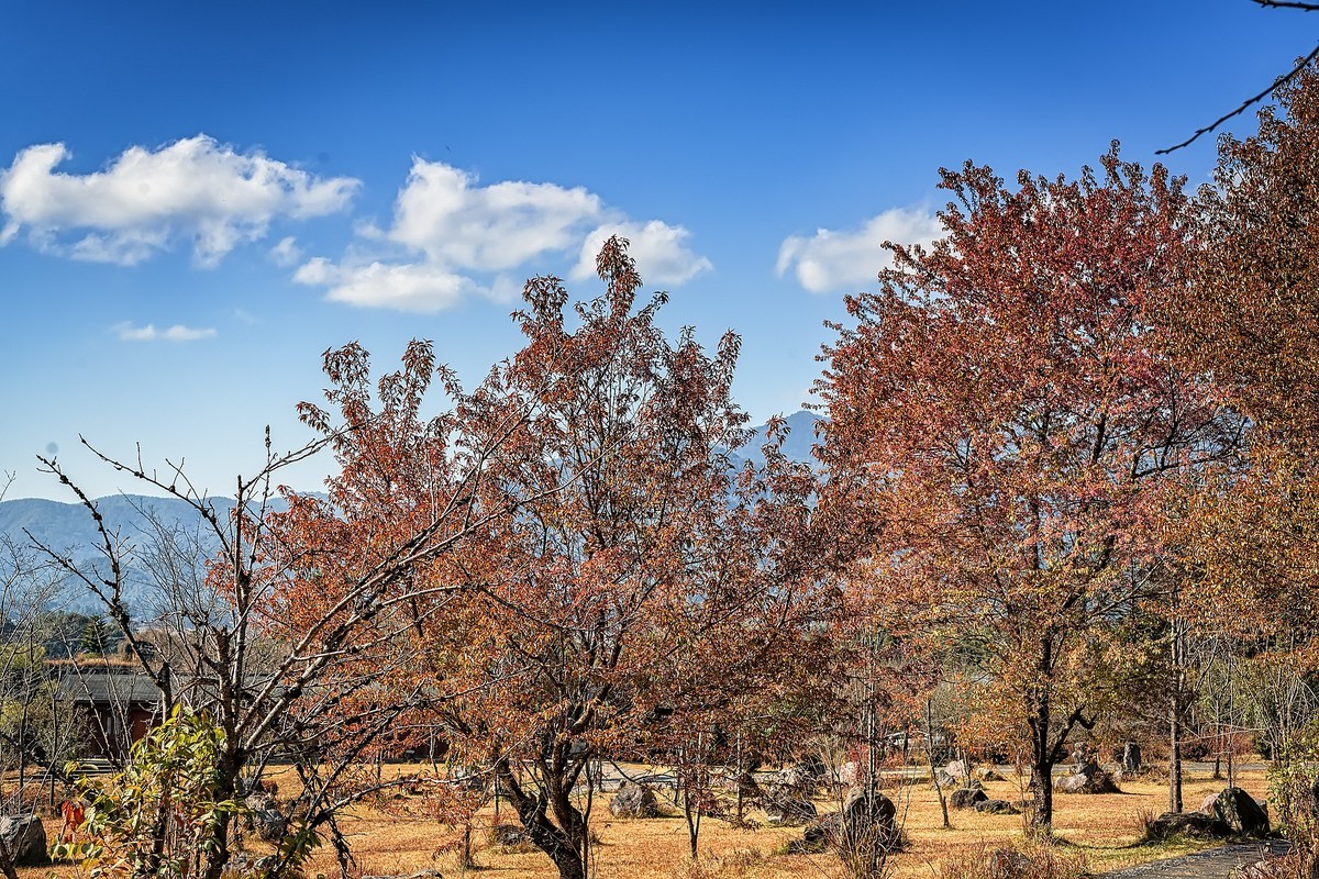 腾冲火山地质公园