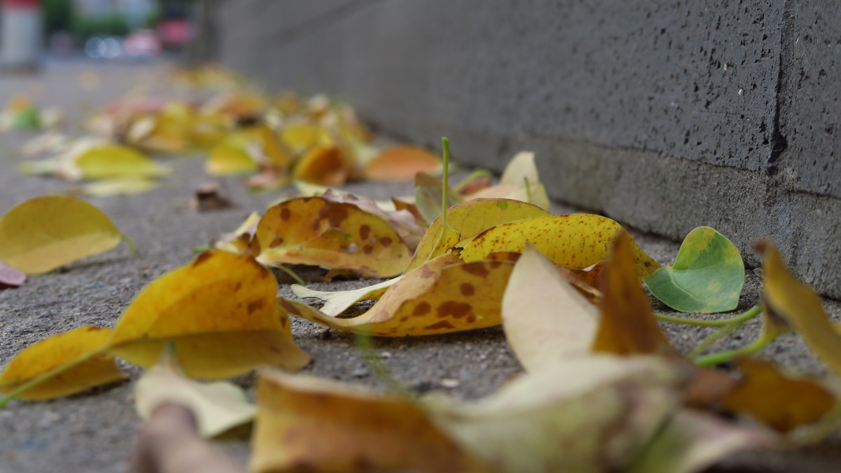 佳能G7X原图直出