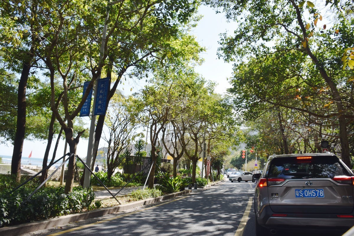 2025春节 广东行（105）绝美仙境--杨梅坑