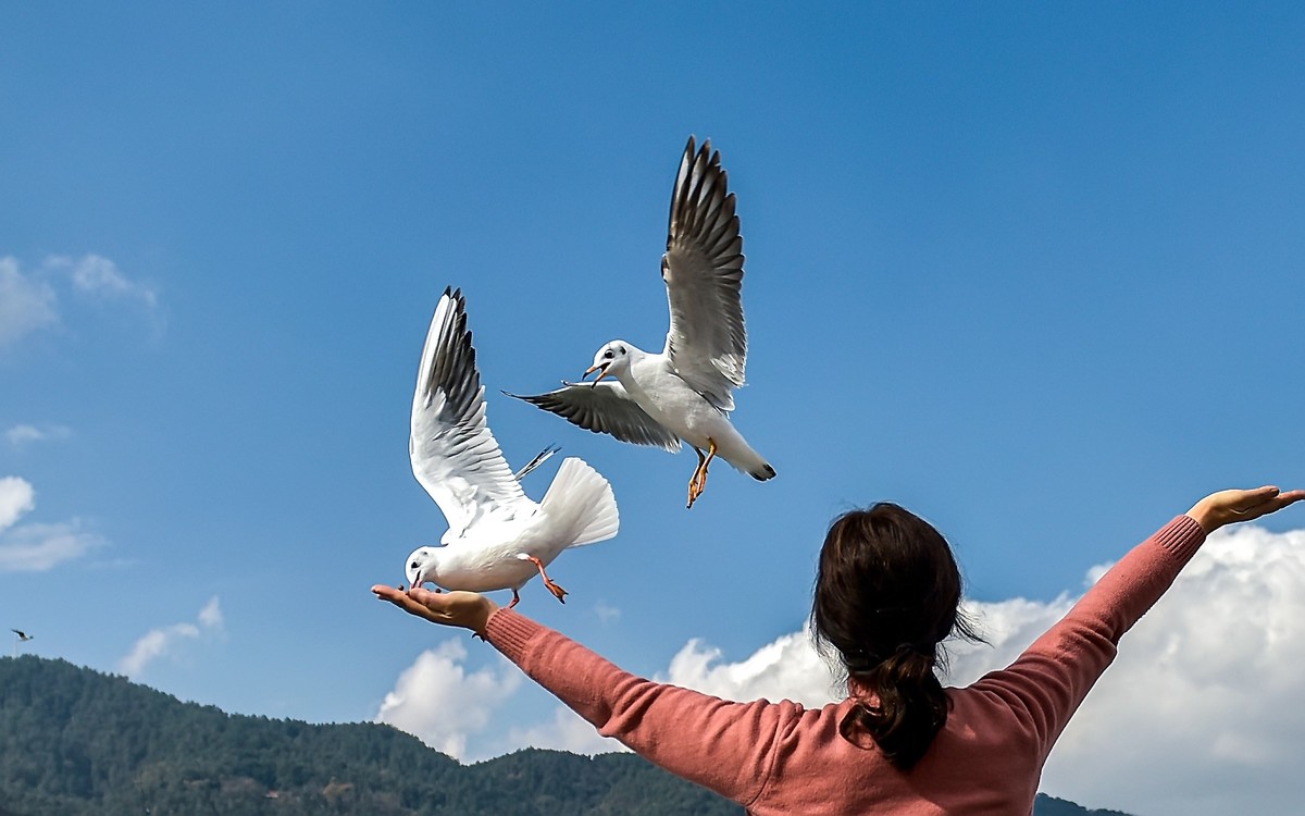 2025元旦节云南自驾滇池拍海鸥南涧县土林