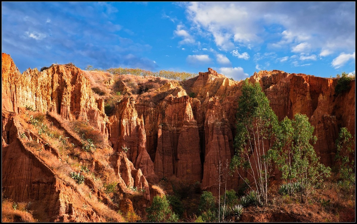 2025元旦节云南自驾滇池拍海鸥南涧县土林