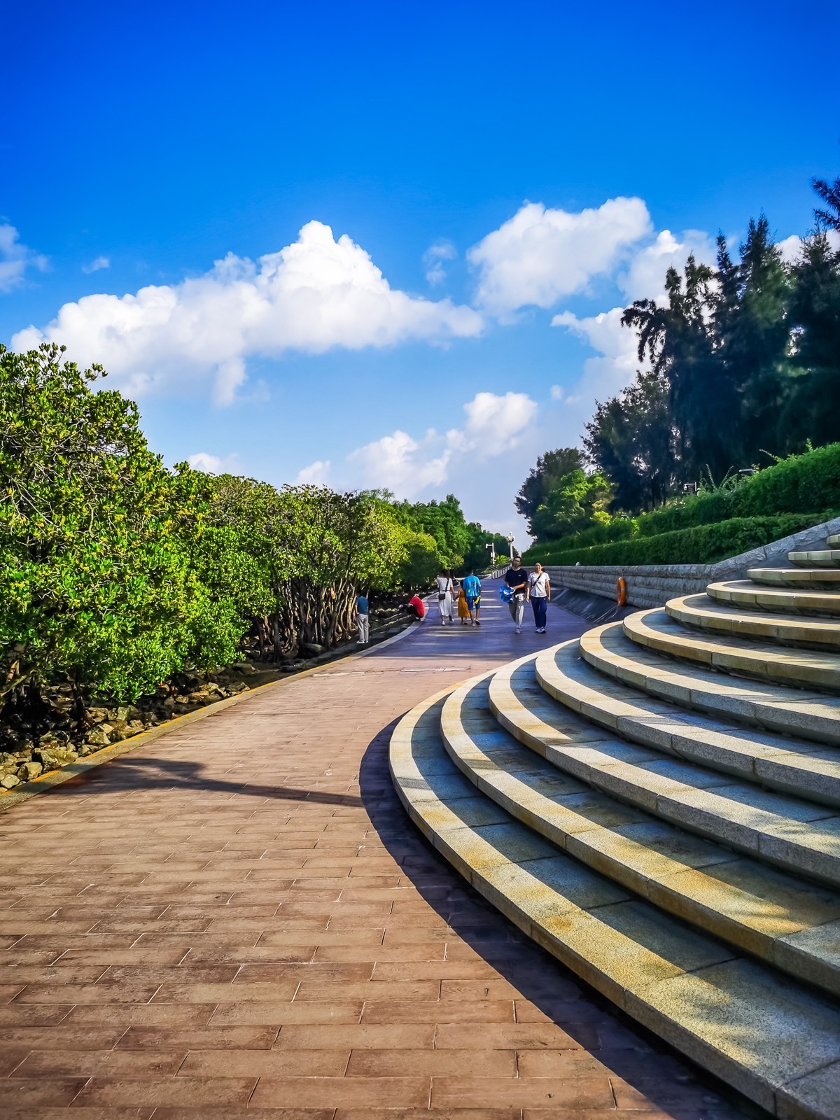 深圳西湾红树林湿地公园掠影