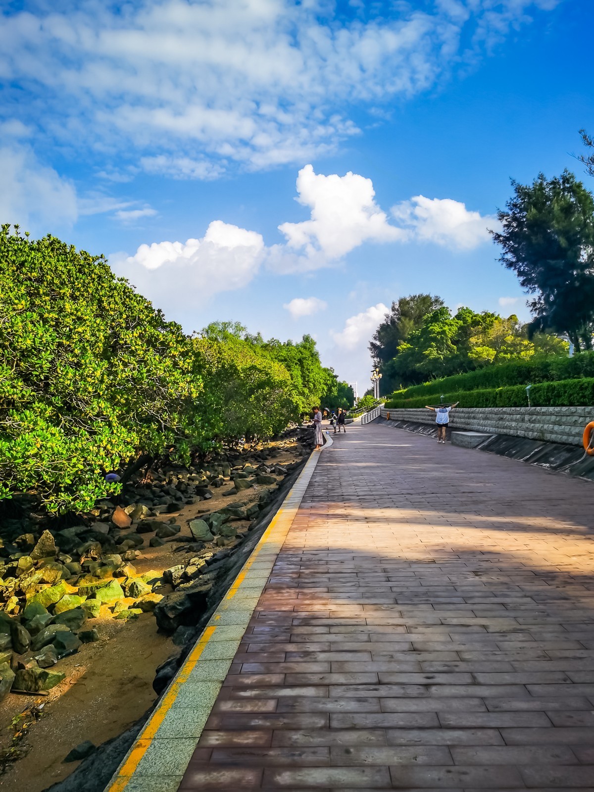 深圳西湾红树林湿地公园掠影