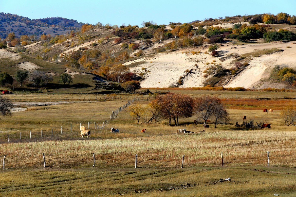 内蒙乌兰布统坝上盘龙大峡谷（一）