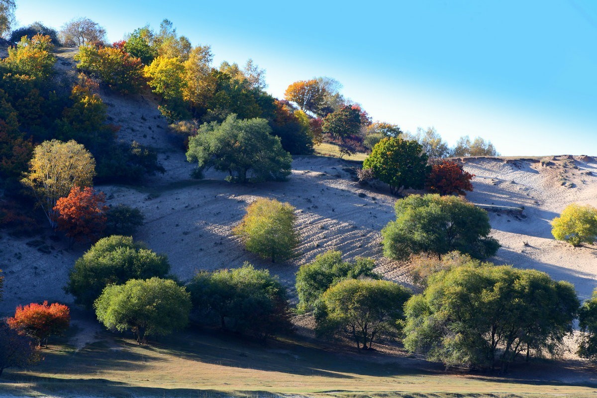 内蒙乌兰布统坝上盘龙大峡谷（一）