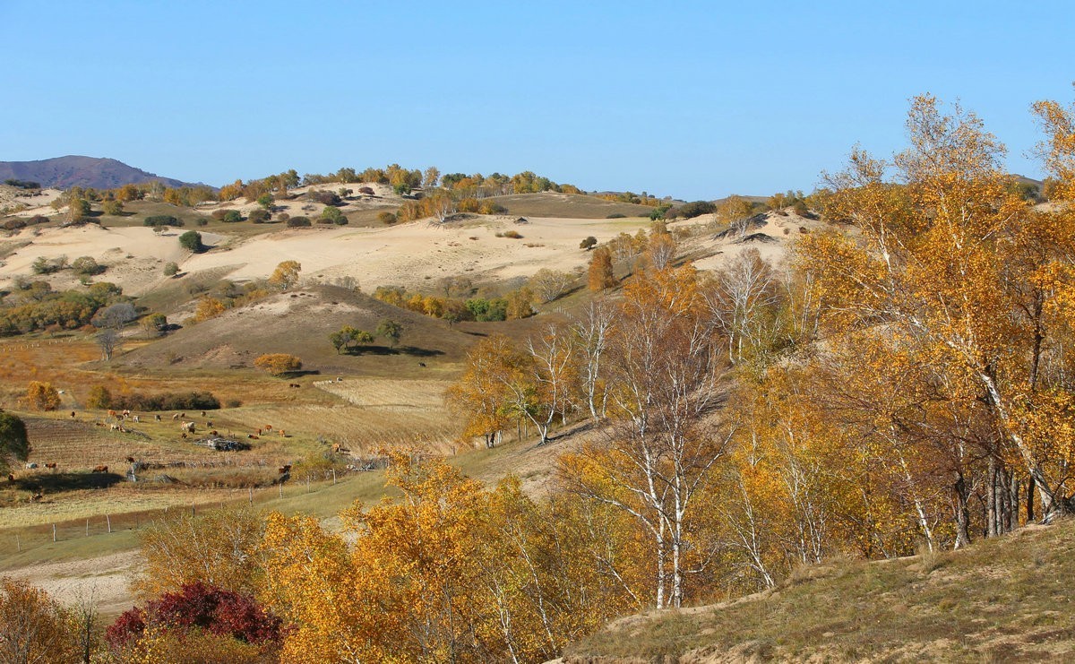 内蒙乌兰布统坝上盘龙大峡谷（一）