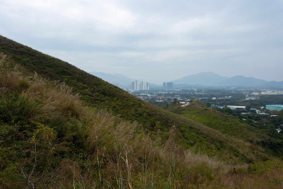香港上水华山