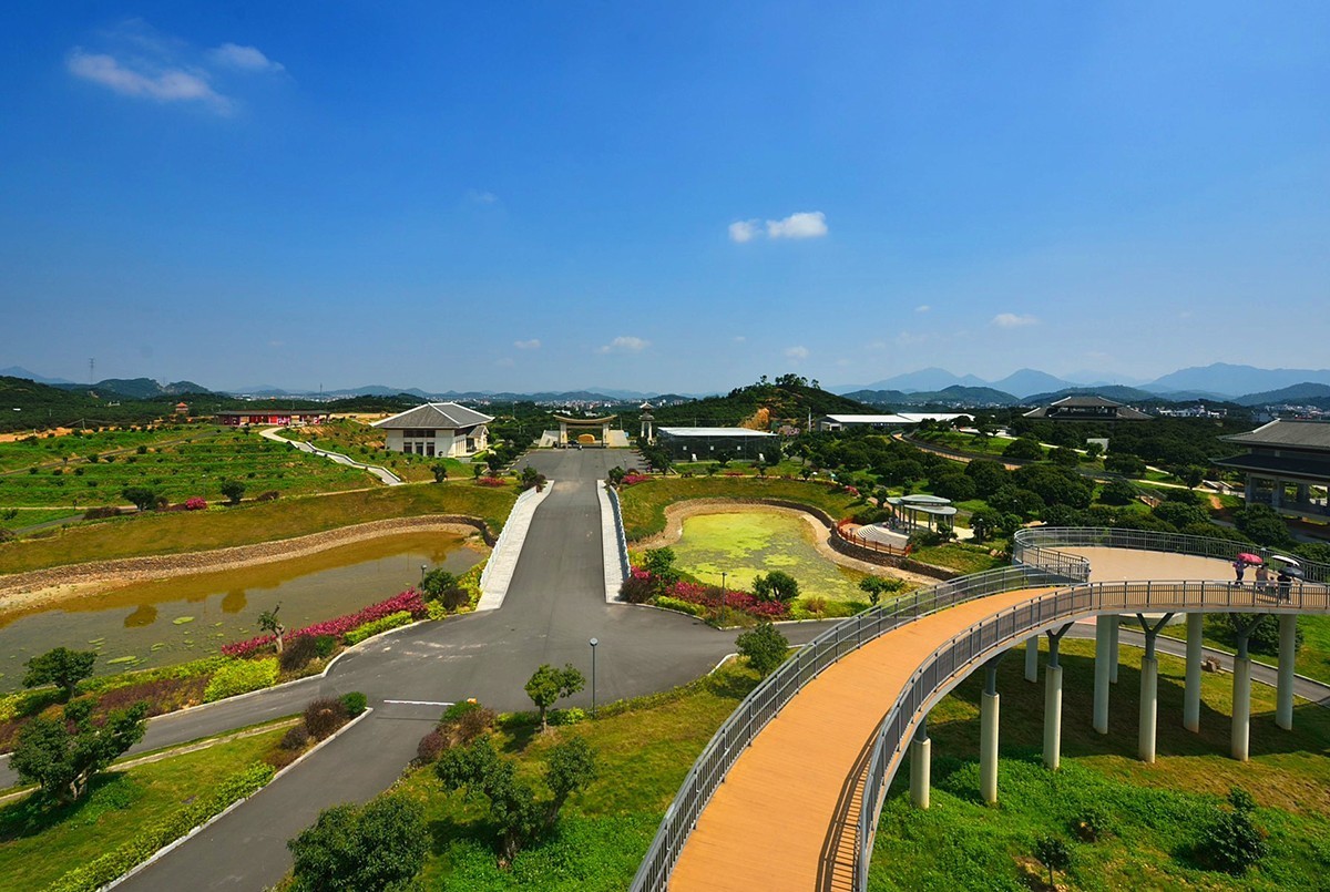 荔枝生态园随拍-中关村在线摄影论坛
