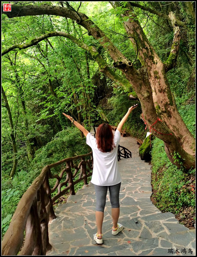 【赣南行摄】11.风景独好汉仙岩讲述八仙的故事