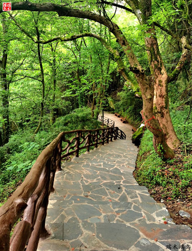 【赣南行摄】11.风景独好汉仙岩讲述八仙的故事