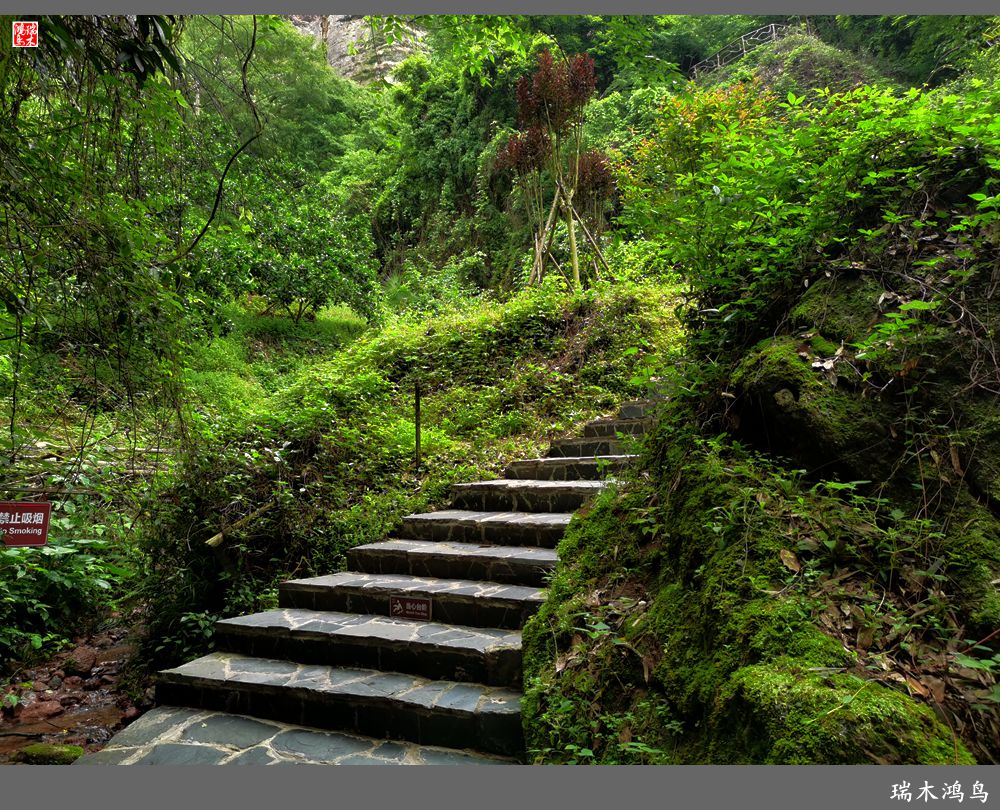 【赣南行摄】11.风景独好汉仙岩讲述八仙的故事