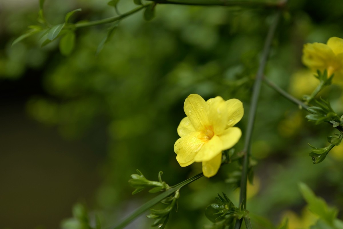 成都之行——杜莆草堂随拍（4）