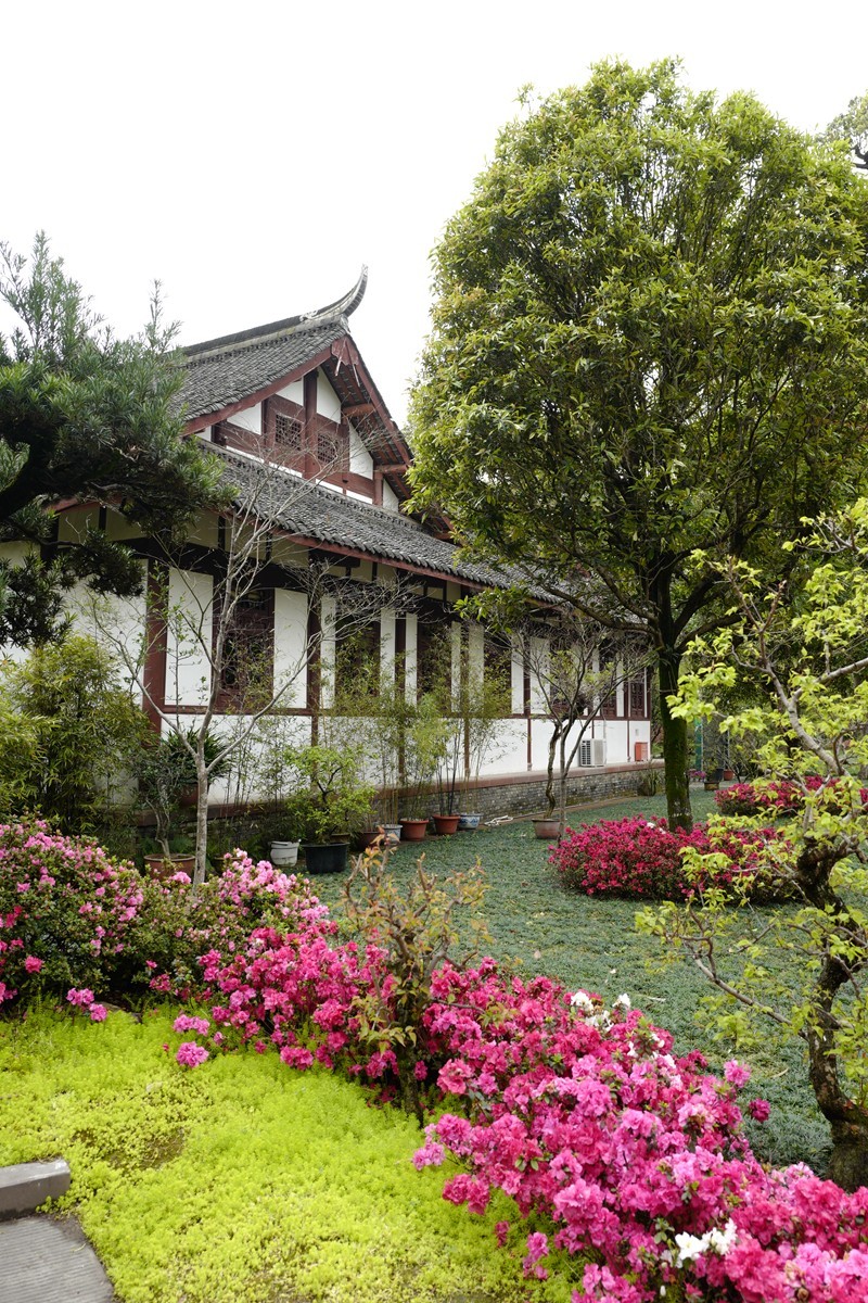 成都之行——杜莆草堂随拍（4）