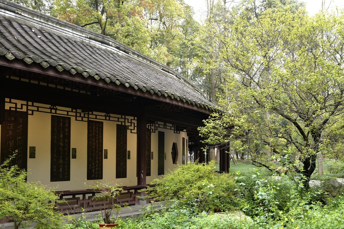 成都之行——杜莆草堂随拍（4）